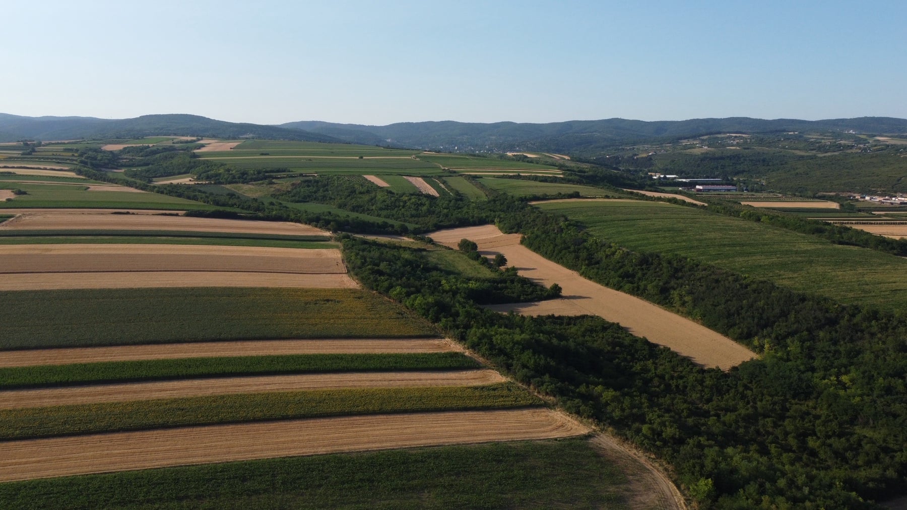 hero image of a building