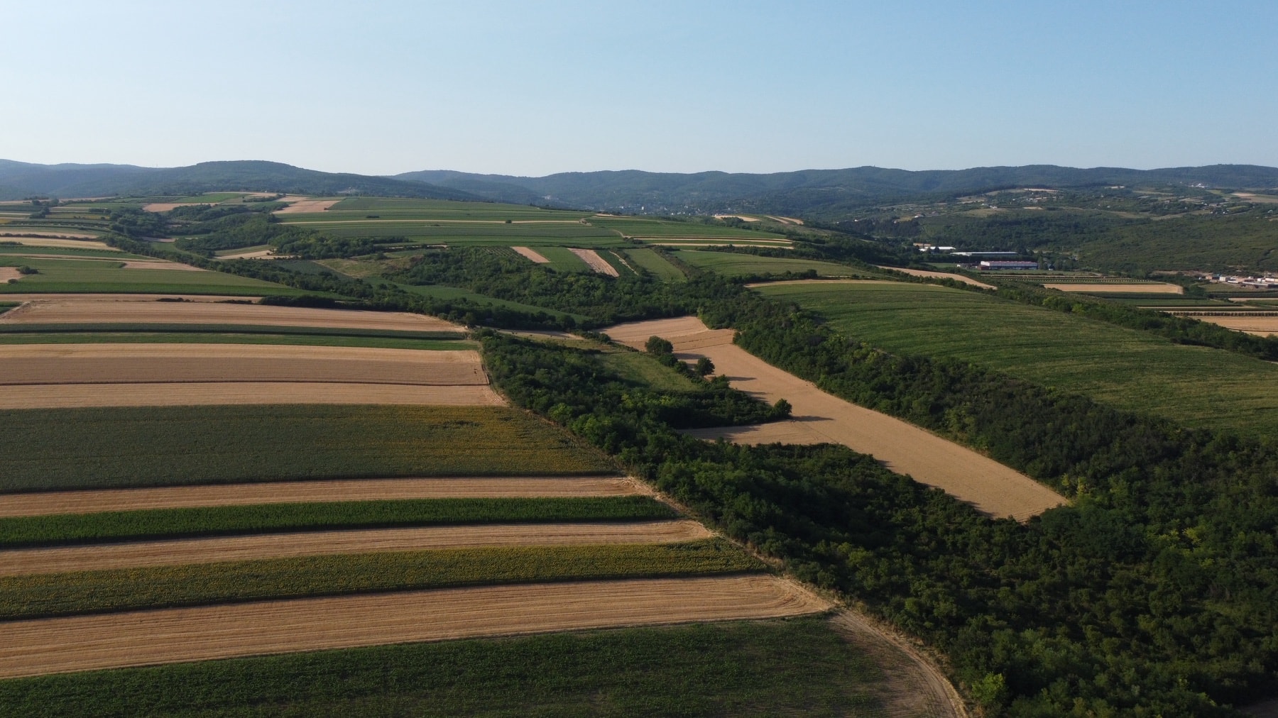 hero image of a building