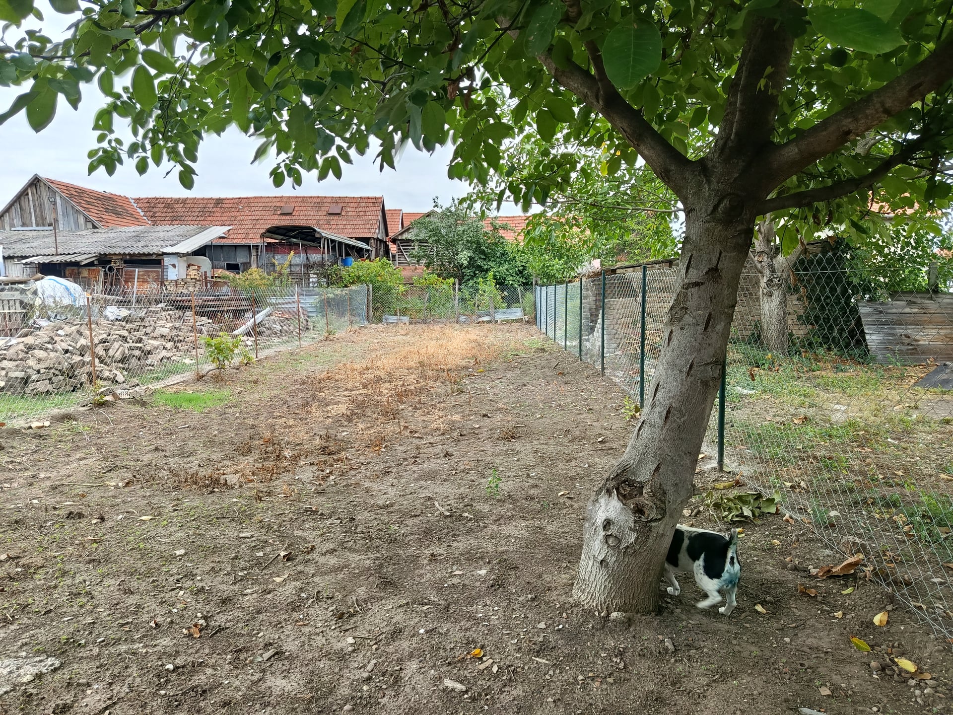 hero image of a building